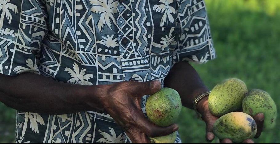 Being Haitian American