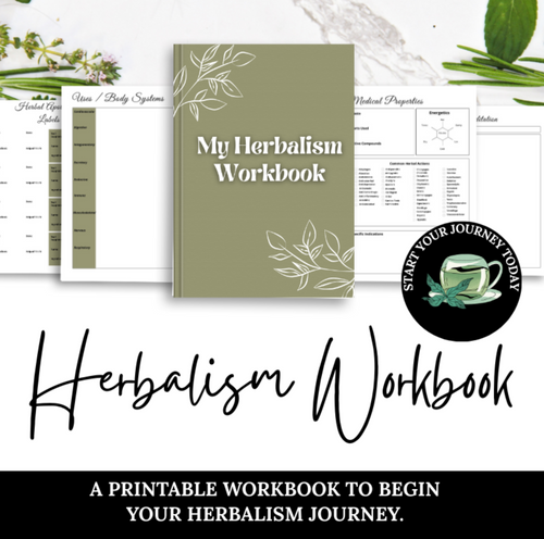 Open herbalism workbook with handwritten notes, dried herbs, and a cup of herbal tea—used to document herbal teas, bulk herbs, and Materia Medica detail